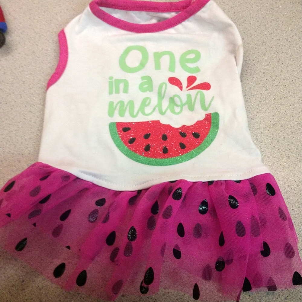 ASPCA Brand-Small Hot Pink & White Dog Dress With Pink Ruffle & Sleeveless-Small